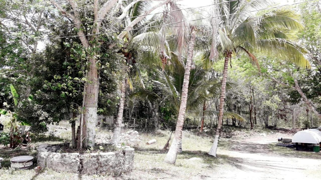 Hotel Templo Maya إكسبوجيل المظهر الخارجي الصورة